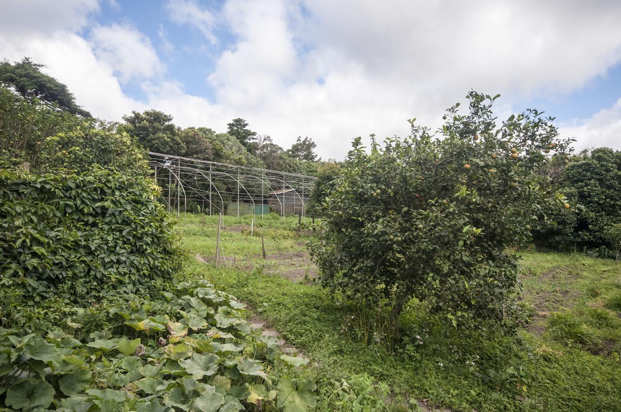 Hummingbird House B&B モンテベルデ エクステリア 写真
